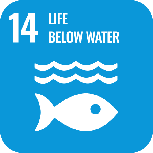 SDG 14 icon