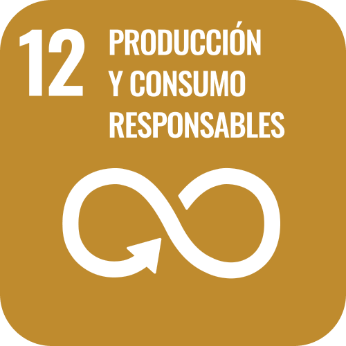SDG 12 icon