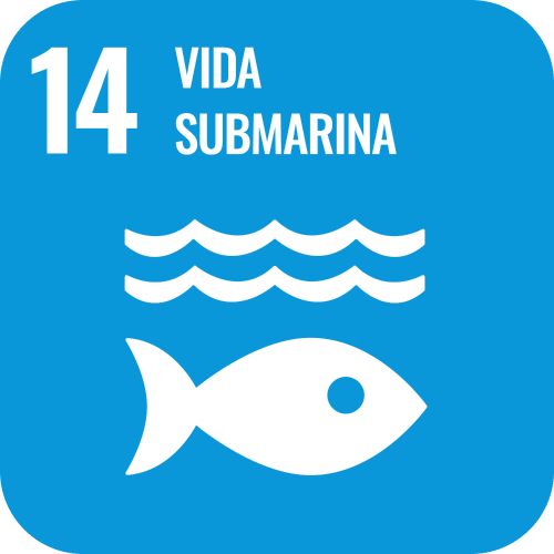SDG 14 icon