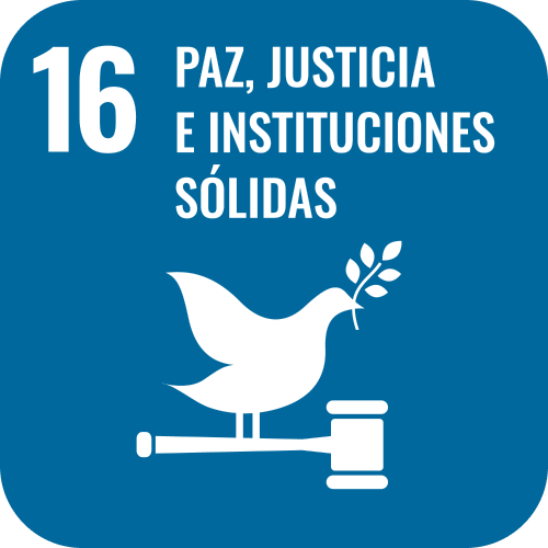 SDG 16 icon