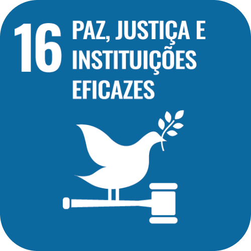SDG 16 icon